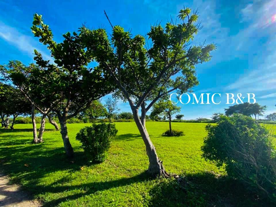 Kenting Comic B&B&Spring 헝춘 외부 사진