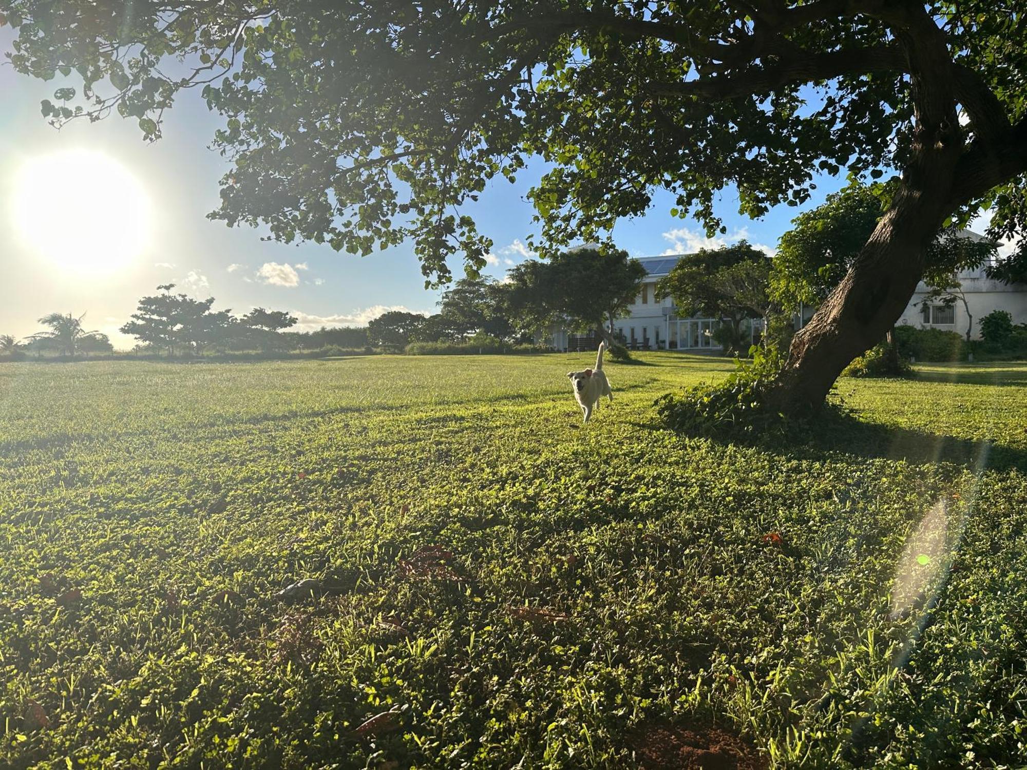 Kenting Comic B&B&Spring 헝춘 외부 사진